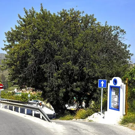 Barros De Luna *