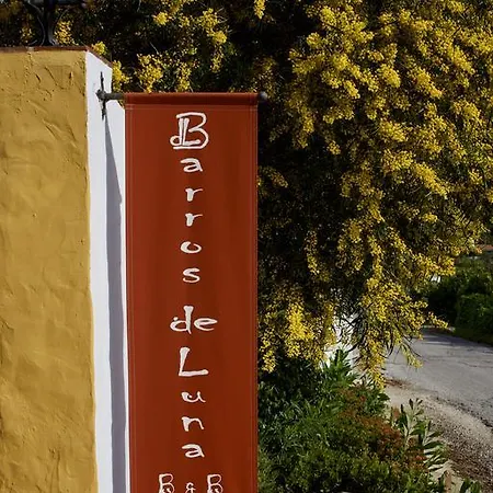 Guest house Barros De Luna *